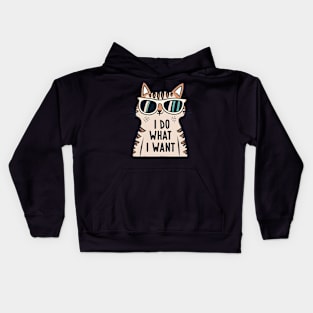 Cat I do what i want Kids Hoodie